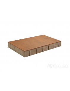 LOSA PAVINATURE 40 X 20 CM.