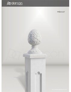 PIÑA Nº7